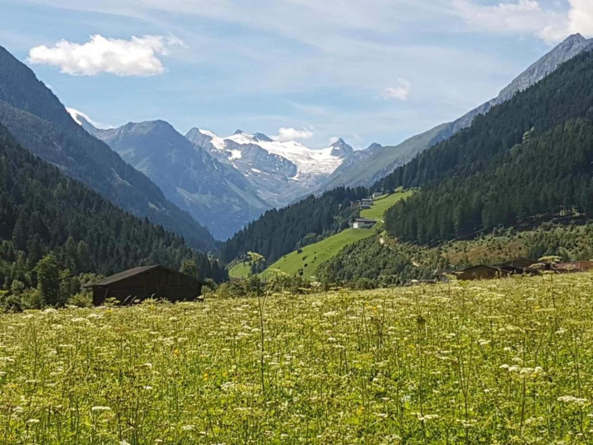 Cosy Apartment In Neustift In The Stubaital 施图拜河谷新施蒂夫特 外观 照片